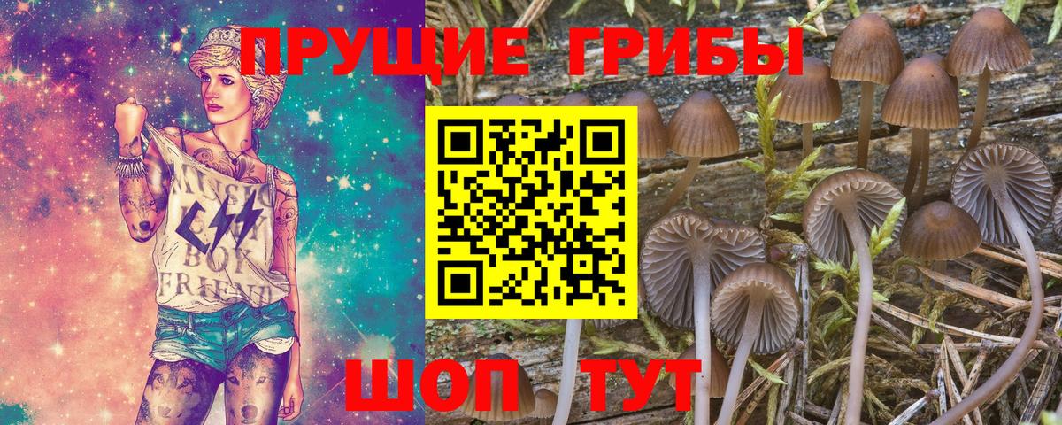 Псилоцибиновые грибы мухоморы Кстово