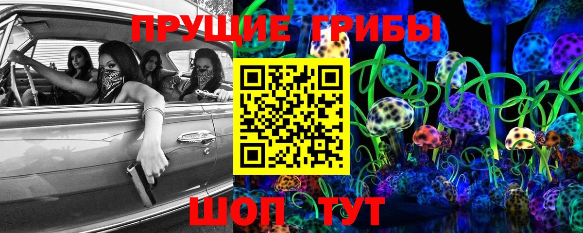 Кстово  Псилоцибиновые грибы Psilocybine cubensis  Вход с VPN 